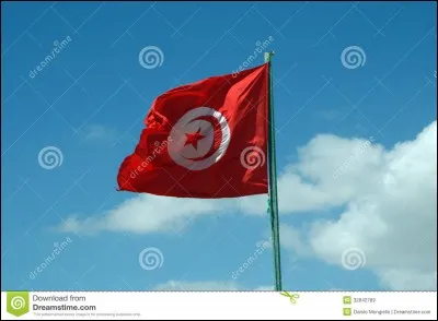 La Tunisie est limitée par la Libye au :