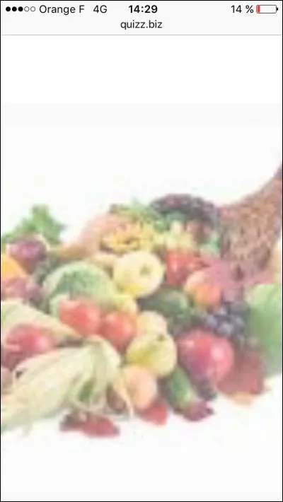 Quel est l'aliment indispensable pour le lapin ?