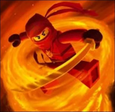 Quel art martial pratiquent les ninjas ?