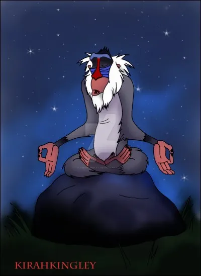 Qui est ce mandrill ?