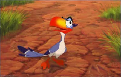 Quel est cet oiseau ?