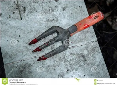 Qui a enterré Allison vivante ?