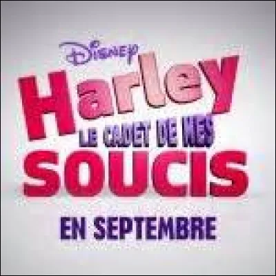 Quel est le nom de la série ?