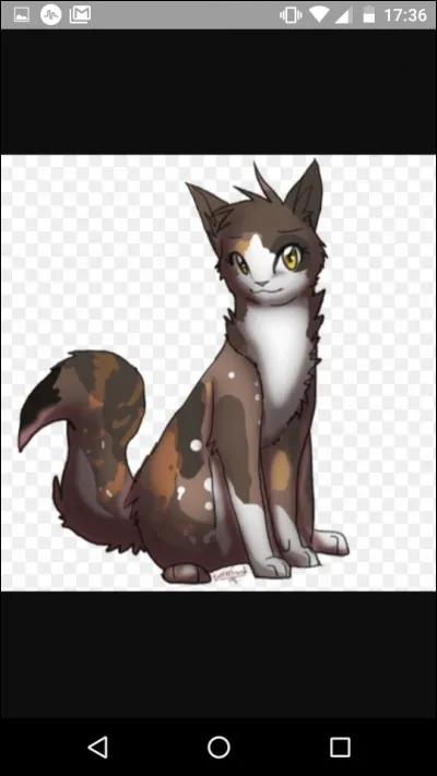 J'ai eu deux chatonnes avant ma mort dont une que j'ai cachée à mon clan. Je suis morte tombée d'une falaise avec mon compagnon, laissant mes chatons à ma sœur. Qui suis-je ?