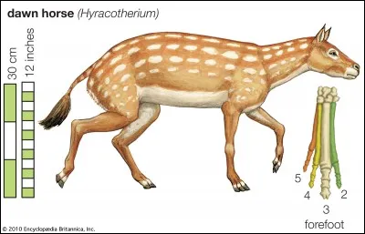 Le cheval est domestiqué depuis environ :