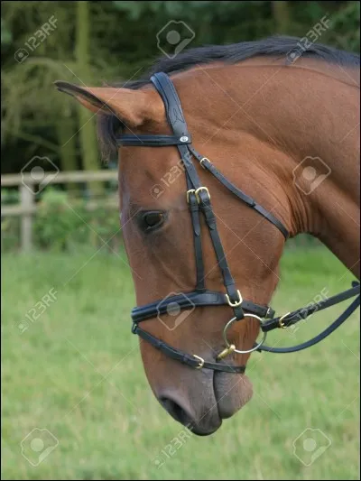 Pour enlever les filets, je dois en premier :