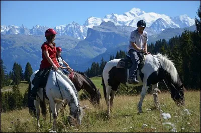 Pour partir au pas :