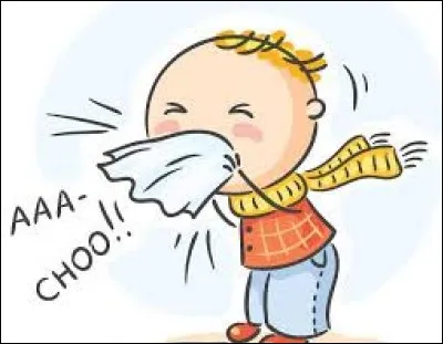 Comment dit-on « rhume » en japonais ?