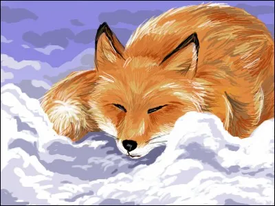 Et la queue de celui-ci ?