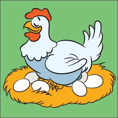 Que se passe-t-il quand une poule prend son pied ?