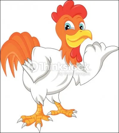 Que signifie "Couillon de coq" ?