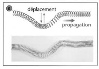 Si la direction de propagation d'une onde est perpendiculaire au sens de déplacement des points du milieu, l'onde est :