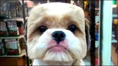 Comme chacun le sait, je suis carrée :