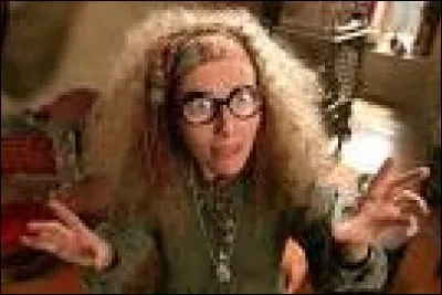 Mme Trelawney est professeur d'arithmétique.