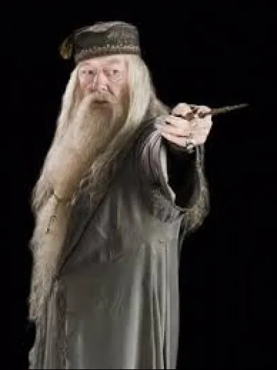Le directeur de cette école s'appelle Albus Dumbledore.