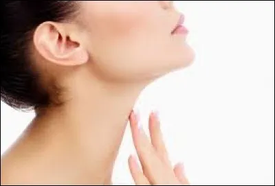 Quelle est cette partie du corps ?