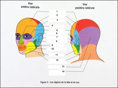 Donnez les régions 1 et 5.