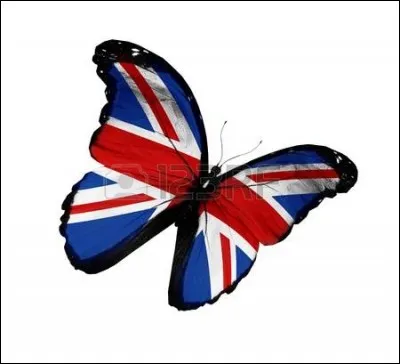 Que signifie le mot "singer" ?