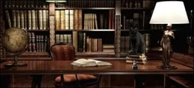 Lis-tu beaucoup les livres scolaires de sorcellerie ?