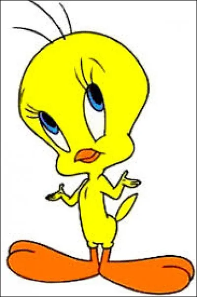 Comment s'appelle ce petit poussin ?