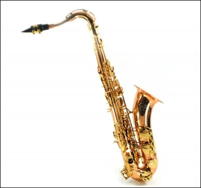 De quel instrument joue Lisa ?