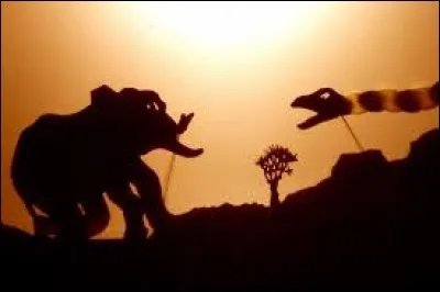 Quel jeu consiste à placer ses mains entre la source de lumière et un écran, afin obtenir des ombres dont la silhouette évoque un animal ou un objet connu ?