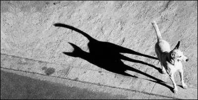 A qui doit-on les paroles suivantes : "Arrache-toi d'là / T'es pas d'ma bande / Casse-toi tu pues / Et marche à l'ombre" ?