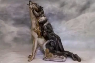 Que voyez-vous sur la photo ?