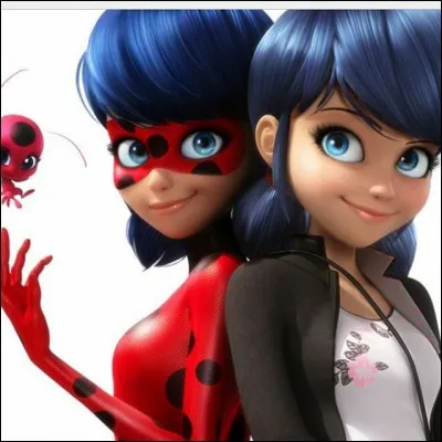 Quel est vrai nom de Ladybug ?
