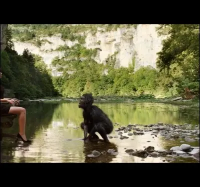 Quand Lucy touche Lucy, cela fait référence à :