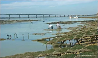 C'est la plus grande île de France après la Corse.