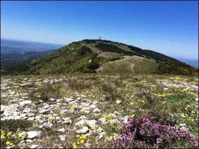 S'étirant sur environ 60 km, cette montagne a pour point culminant le Mourre Nègre .