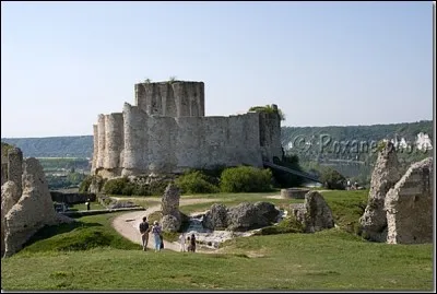 Cette commune est connue pour son impressionnante forteresse, bâtie par l'illustre Richard Cur de Lion.