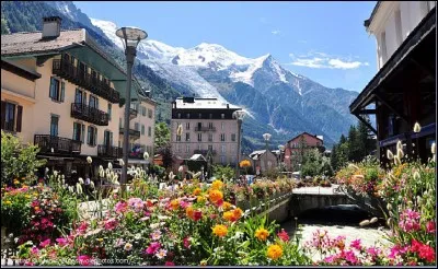 Grâce à la présence du mont Blanc sur son territoire, c'est avec Saint-Gervais, la commune la plus élevée de France.