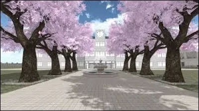 Combien y a-t-il de cerisiers dans le lycée d'Ayano ?