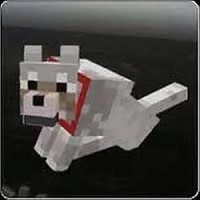 Qui a fait une série avec Fluffy ?