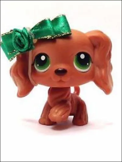 Quelle est la race de ce LPS ?