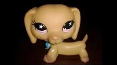 Est-ce un vrai ou un faux ?