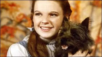 Que doit r&eacute;p&eacute;ter Dorothy pour revenir aupr&egrave;s de ses proches ?