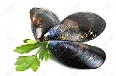 On entre dans la plaine saison des moules et il faut savoir les choisirent !
Sachez que les meilleurs moules ont l'écaille presque noire.