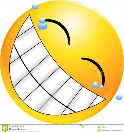 « Allô, qu'y a-t-il Sam ?»
Éclats de sanglots
« Mon... Mon chien est mort. 
- Oh mince, je suis désolé. »

L'image correspond au texte.