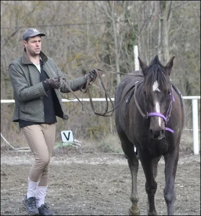 On dirige le cheval avec :