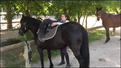 Avant de monter à cheval, il faut :