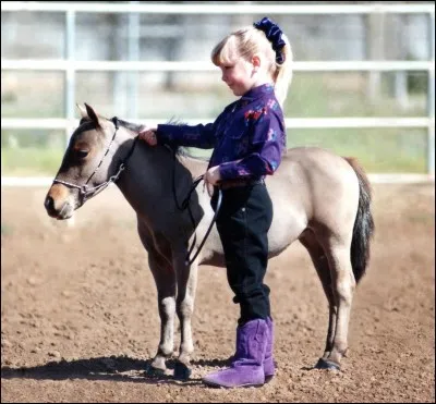 Ceci est l'un des plus petits chevaux du monde.
