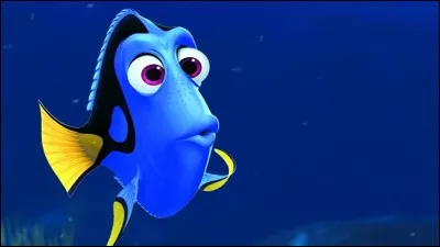 Quelle est la maladie de Dory ?