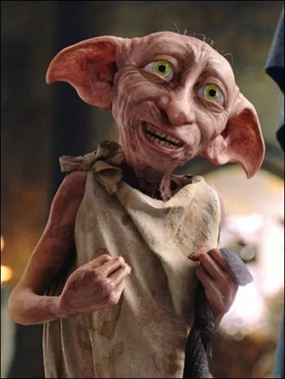Qui est Dobby ?