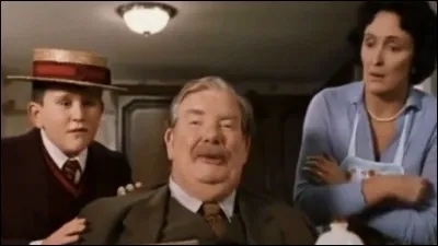 Chez qui Harry a-t-il été élevé ?