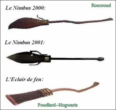 Quel est le nom du premier balai de Harry ?