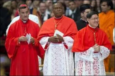 Au Vatican, les prêtres viennent nombreux pour apprendre a calculé en cent leçons. Et les cardinnaux lancent l'habit rouge aux orties."