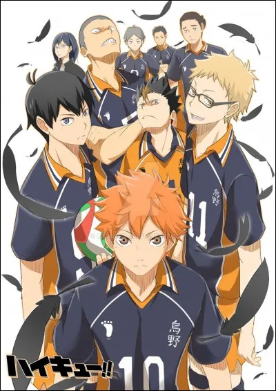 "Haikyū" et un manga basé sur le sport. Quel sport, sur cette image, Hinata et les autres pratiquent-ils ?